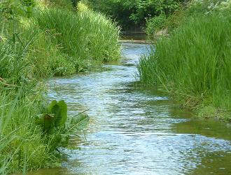 The River Stour meandering its way through Kedington